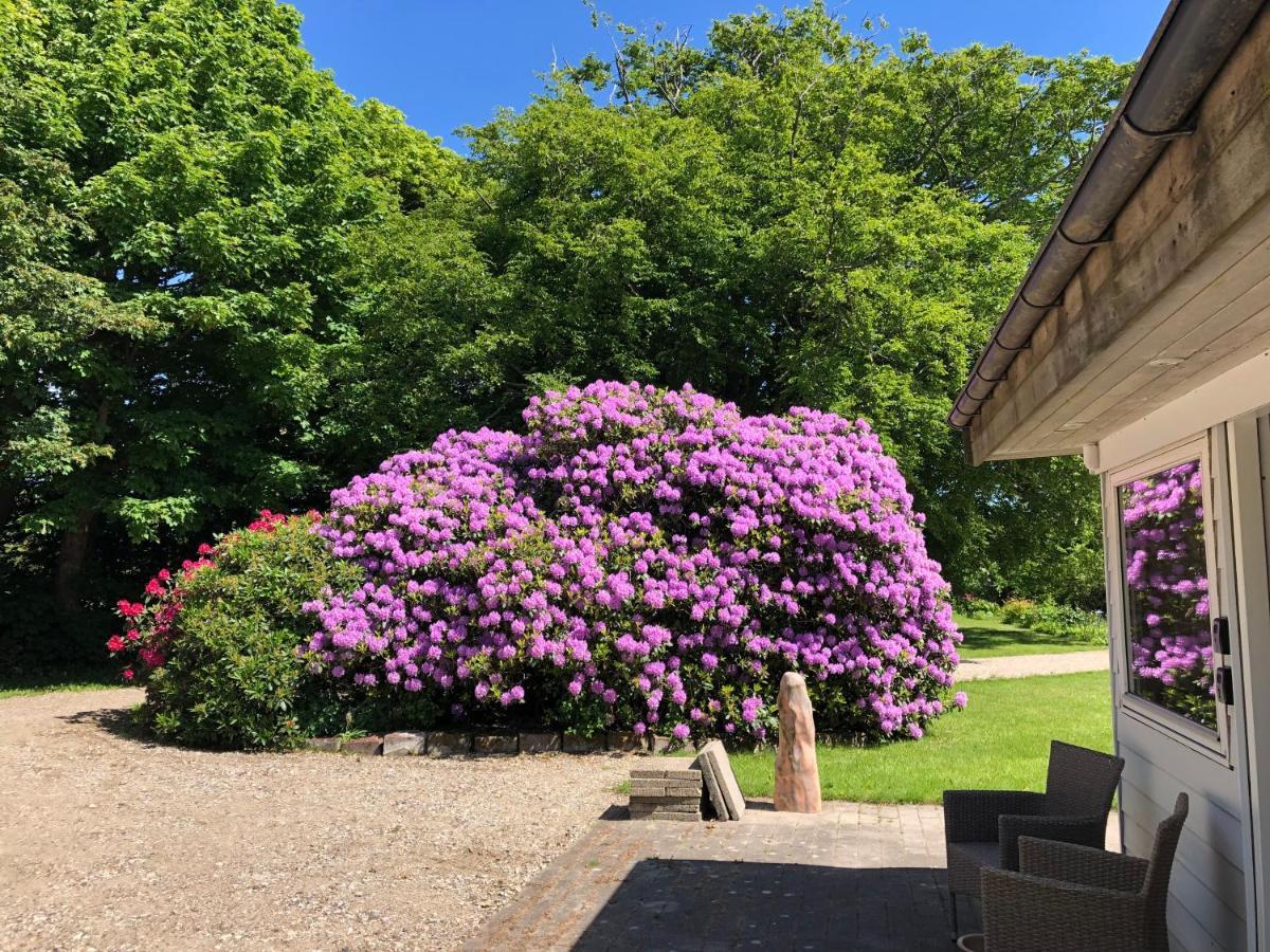 Landevejens B&B Holstebro Buitenkant foto